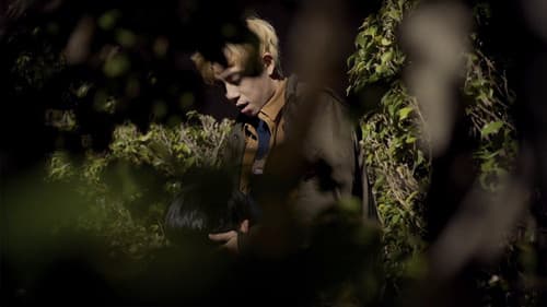 寂寥無聲的凝視 Bild 3