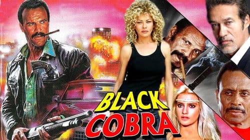 Black Cobra Bild 7