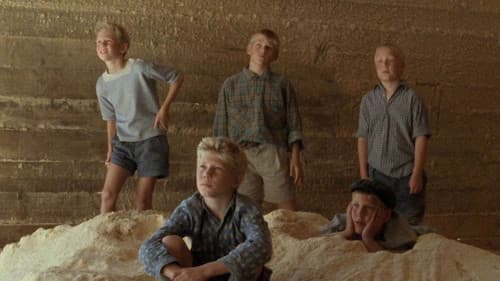 Wer springt am höchsten? Bild 4