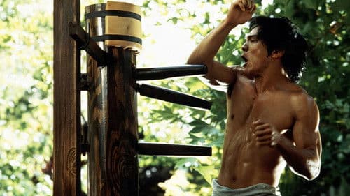 Dragon - Die Bruce Lee Story Bild 8