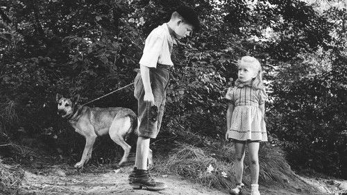 Verbotene Spiele Bild 2