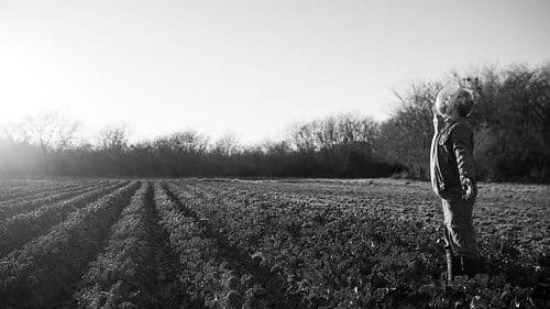 El perro que no calla Bild 1