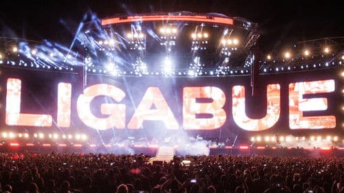 Ligabue Campovolo - Il film Bild 1