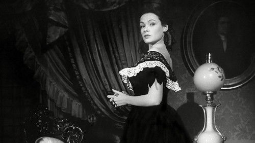 Weisser Oleander Bild 7