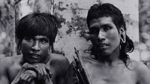 Ailton Krenak: O Sonho da Pedra Bild 1