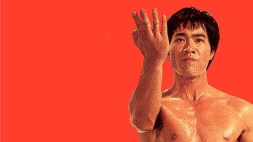 Bruce Lee Superstar Bild 3