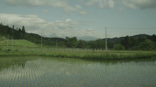 Little Forest: Winter/Spring Bild 3