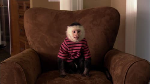 Dr. Dolittle 5 Bild 2