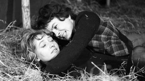 Dom bez okien Bild 6