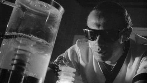 La venganza del sexo Bild 4