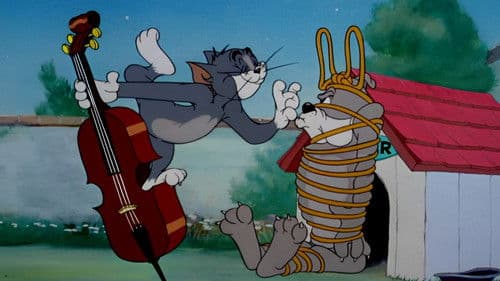 Tom als Troubadour Bild 1