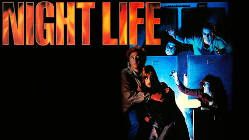 Night Life Bild 3