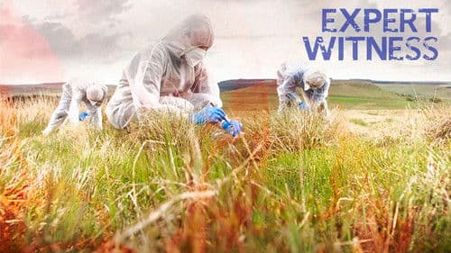 Expert Witness - Forensiker auf Spurensuche Bild 2