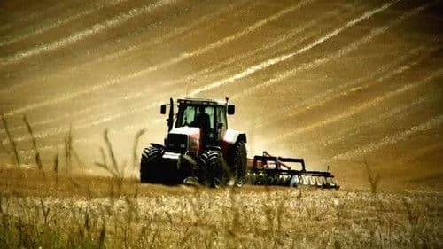 Virus of the Dead Bild 3