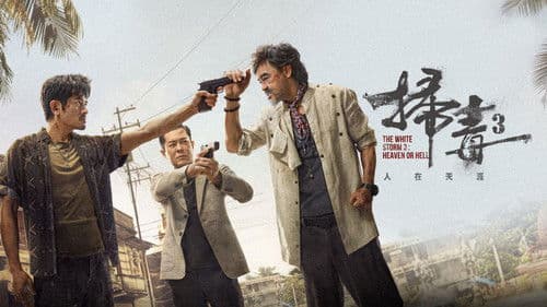 掃毒3︰人在天涯 Bild 1