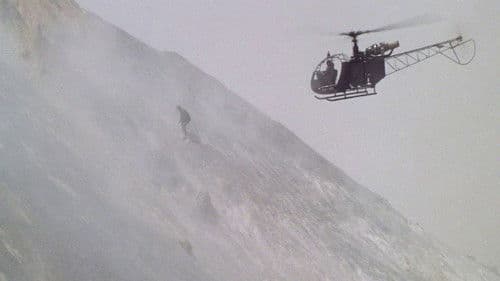 Im Visier des Falken Bild 6