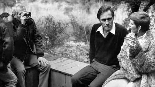 The Shadow Box Bild 2