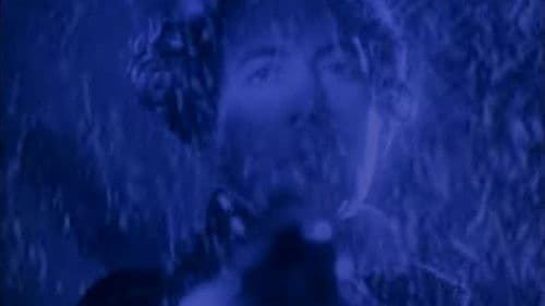 Lawinen über Tolzbad Bild 6