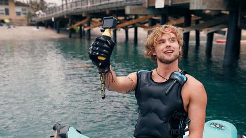 Flycatcher - Survival has its Price Bild 8