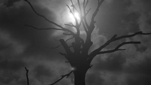 Sword of Silence Bild 2