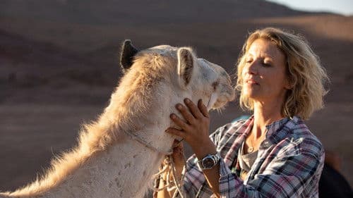 Prinzen der Wüste Bild 3