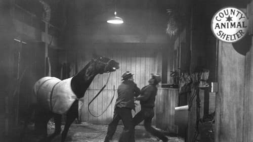 Lach und wein mit mir Bild 2