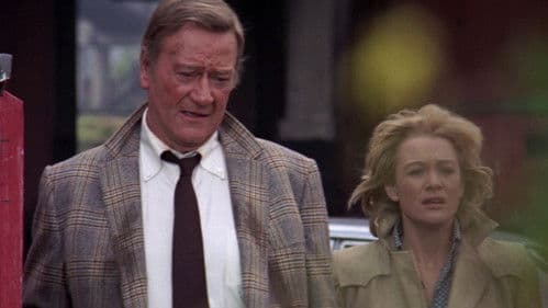 Brannigan - Ein Mann aus Stahl Bild 4