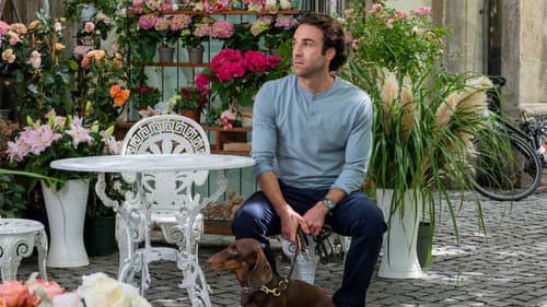 Baumgeflüster Bild 3