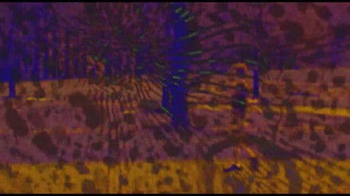 Joose Psychedelia Test Bild 5