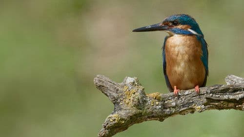 Europas verborgene Naturwunder Bild 2