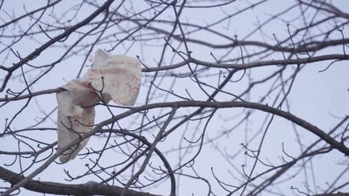 Won't You Be My Neighbor...? Bild 4