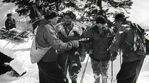 Błękitny krzyż Bild 5