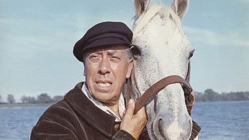 Sein letzter Freund Bild 1