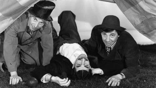 Die Marx Brothers im Zirkus Bild 6