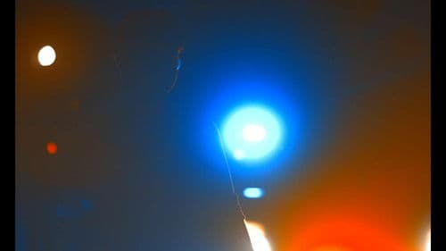 You Could Never Be Sorry Enough Bild 8