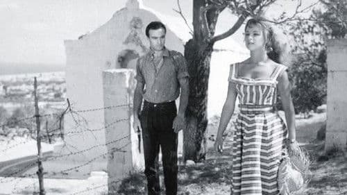 Διακοπές στην Αίγινα Bild 6