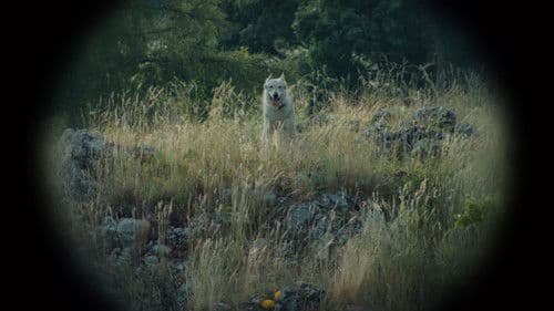 Nebelkind - The End of Silence Bild 1