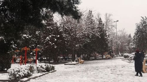 این است زندگی Bild 1