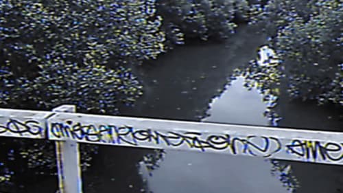 Theoretical: Sully Unreleased Clips Bild 1