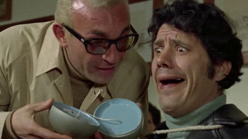 Il lungo, il corto, il gatto Bild 4