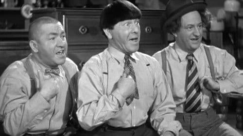 Three Loan Wolves Bild 1