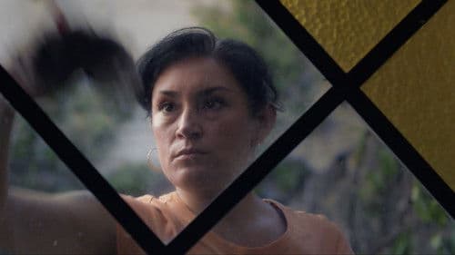 Las irreverentes feministas Bild 1