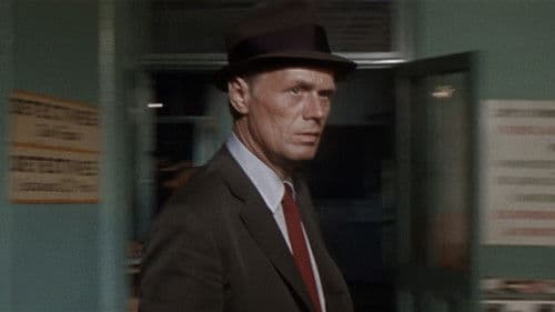 Nur noch 72 Stunden Bild 3