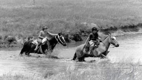 Geheimnisse eines Sommers Bild 2