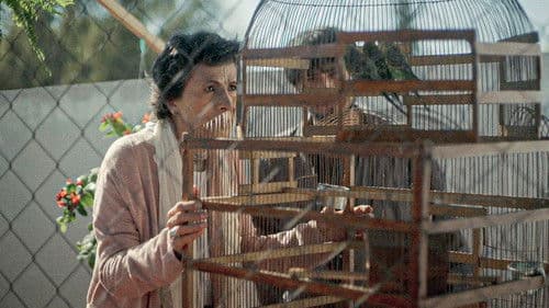 A quien cierra los ojos Bild 2