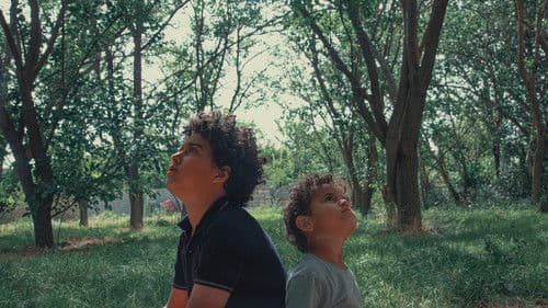 در آغوش درخت Bild 4