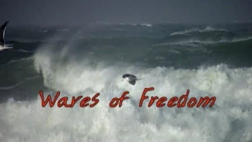 Waves of Freedom Bild 1