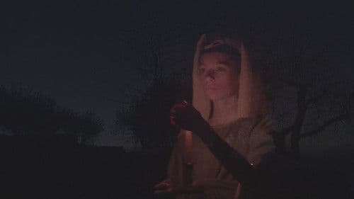 A noite e o rei Bild 1