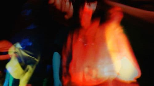 Why Do Ants Go Back To Their Nest? Bild 1