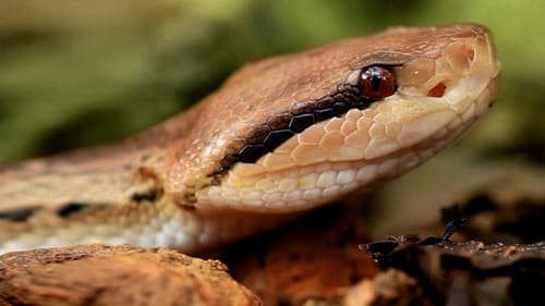 Zwischen Zwei Ozeanen Bild 3